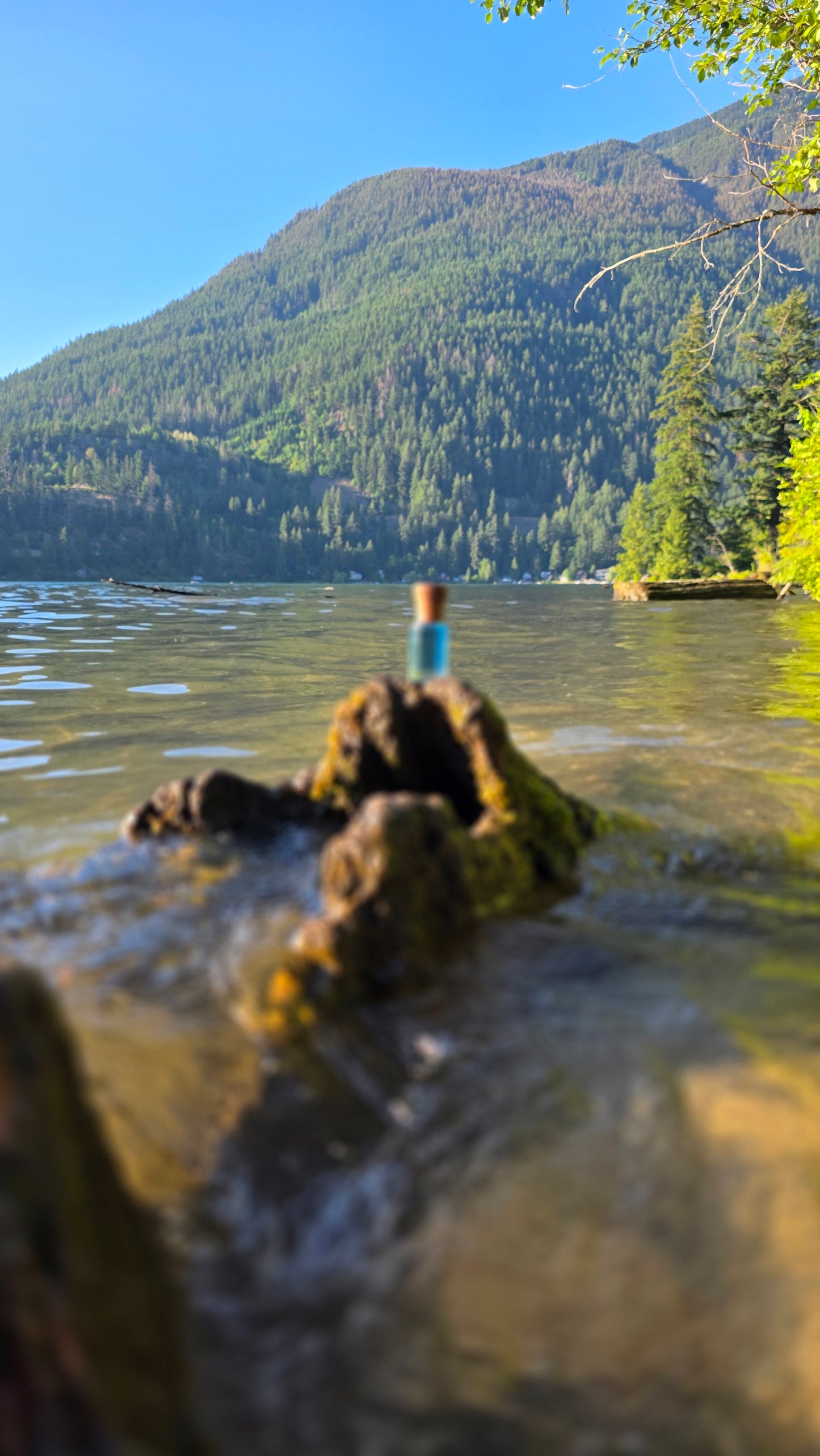 Spectral Fresh — Perfume Oil | 6ml