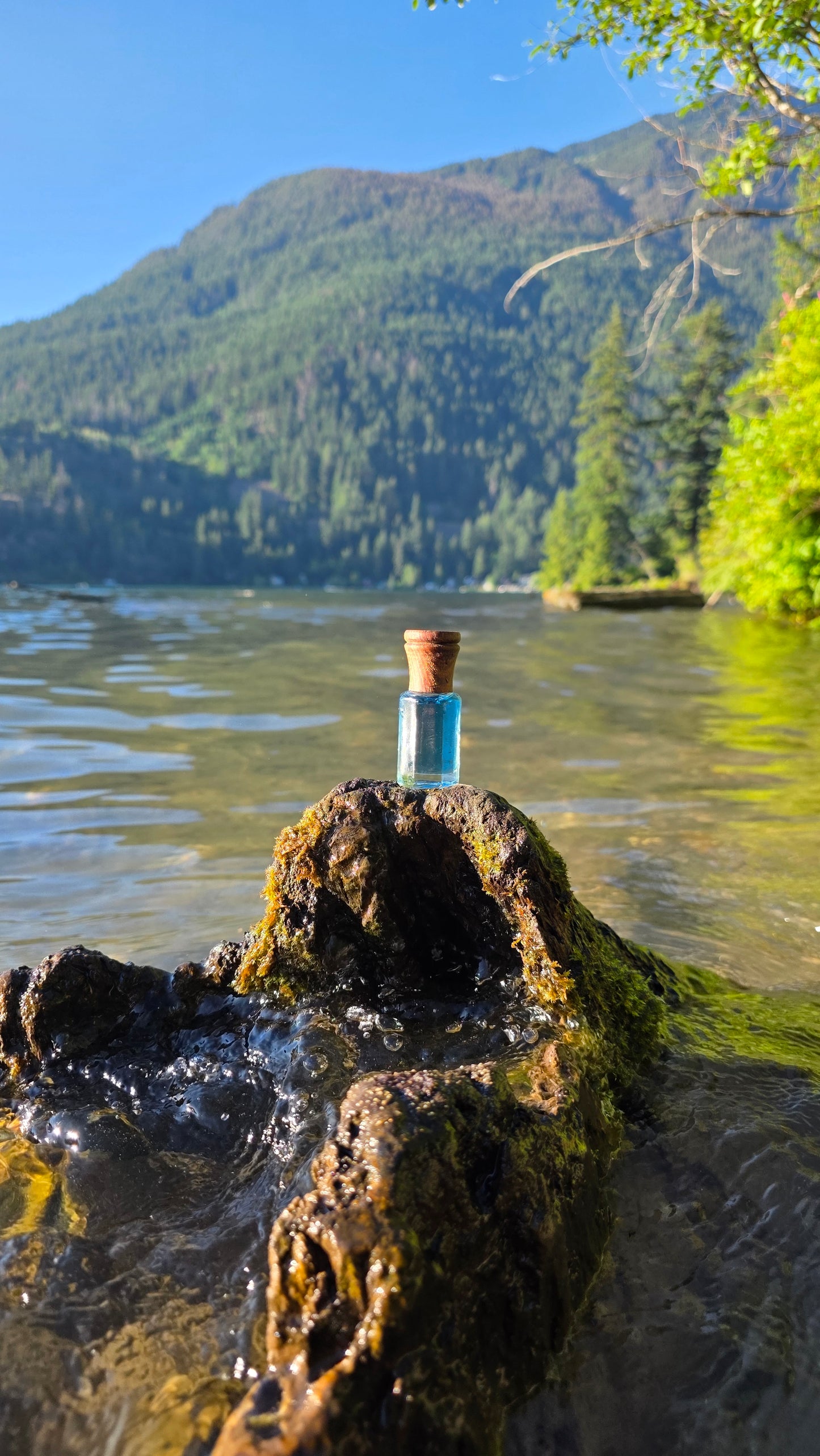 Spectral Fresh — Perfume Oil | 6ml