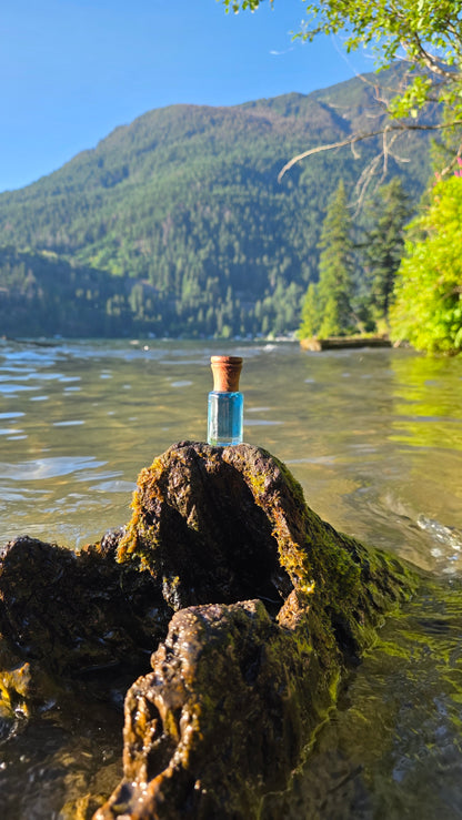Spectral Fresh — Perfume Oil | 6ml