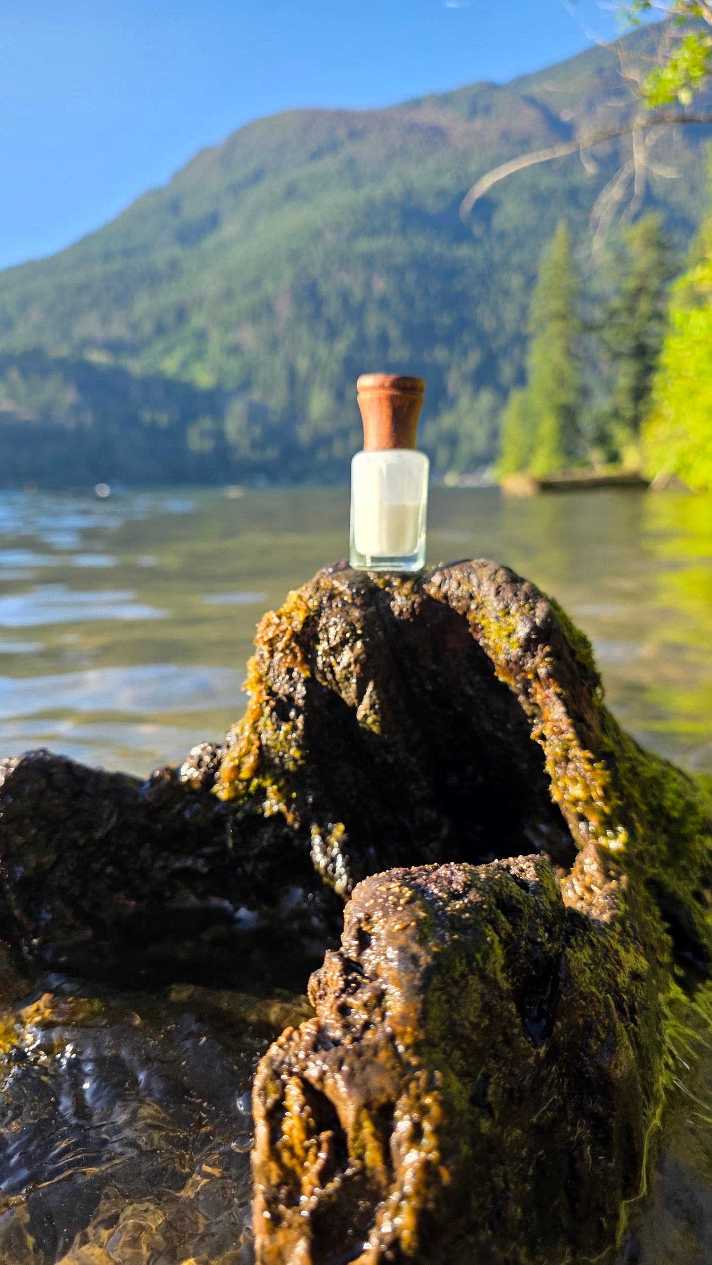 Silk Musk — Perfume Oil | 6ml