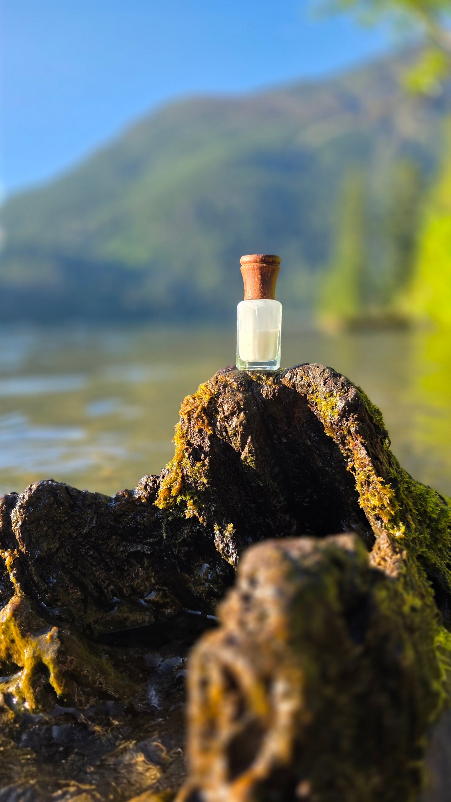 Silk Musk — Perfume Oil | 6ml