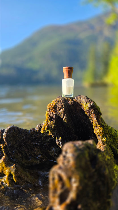 Silk Musk — Perfume Oil | 6ml