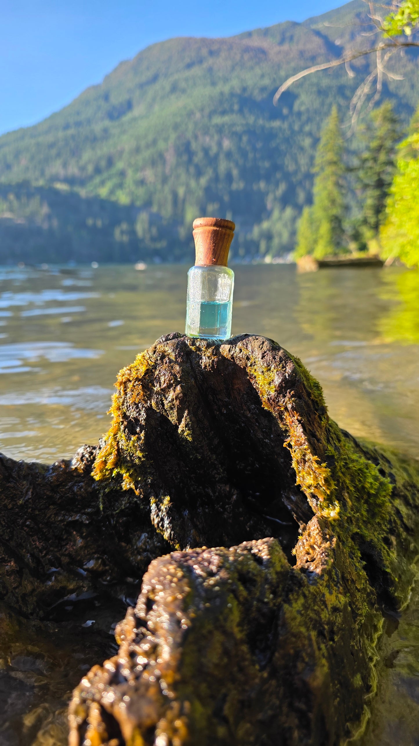 Blue Musk — Perfume Oil | 6ml