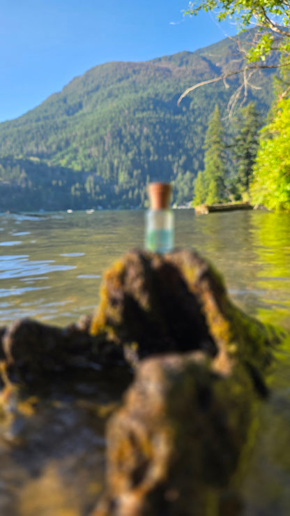 Blue Musk — Perfume Oil | 6ml