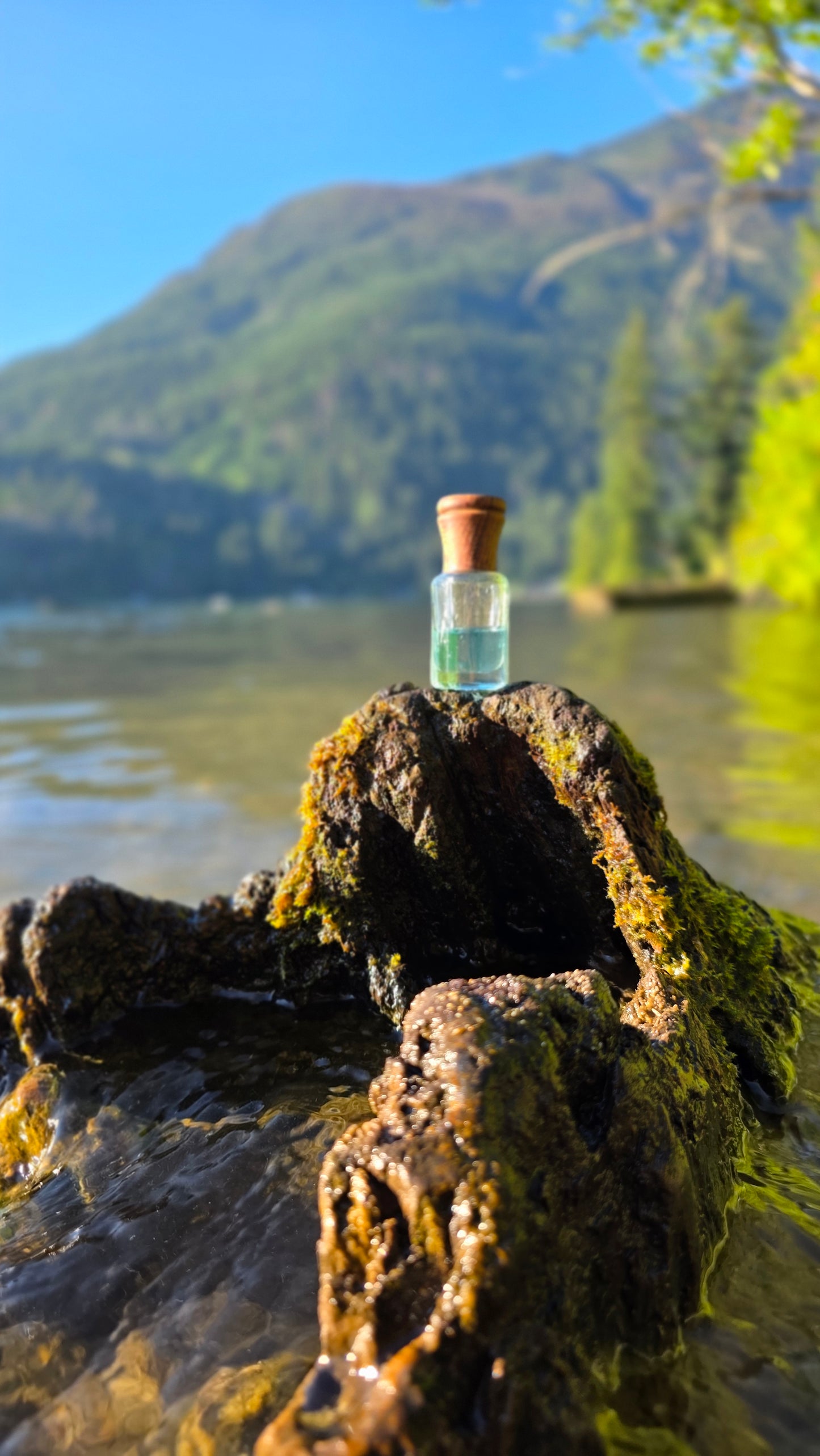 Blue Musk — Perfume Oil | 6ml