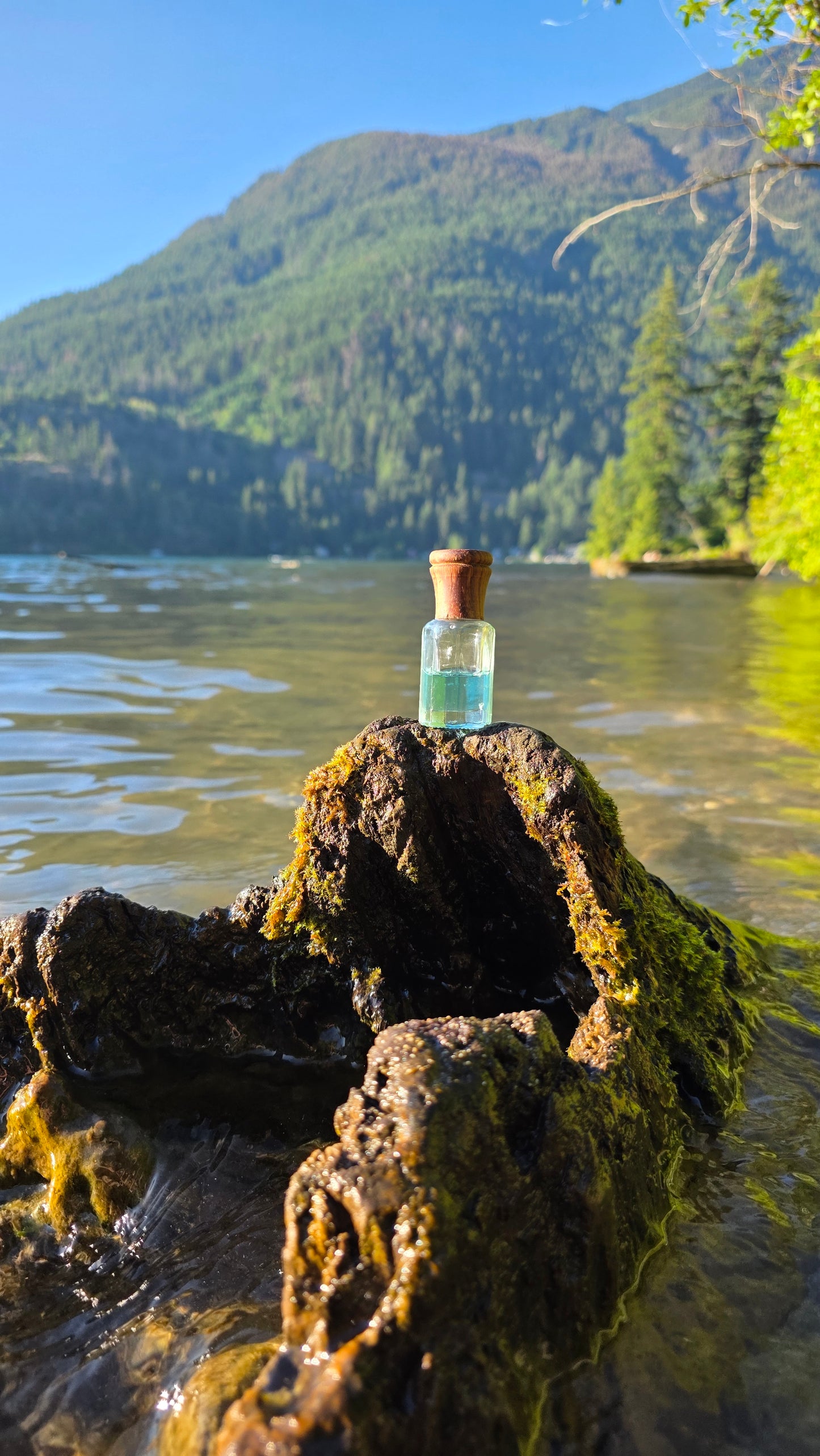 Blue Musk — Perfume Oil | 6ml